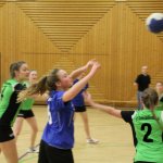 2016_01_16 Landesliga Jugend 19